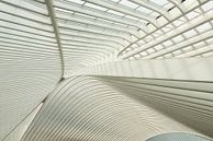 Station Luik van Gonnie Veldhuizen thumbnail