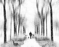 Walk with dogs in the snow