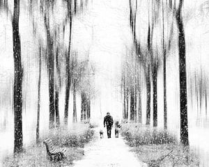 Spaziergang mit Hunden im Schnee