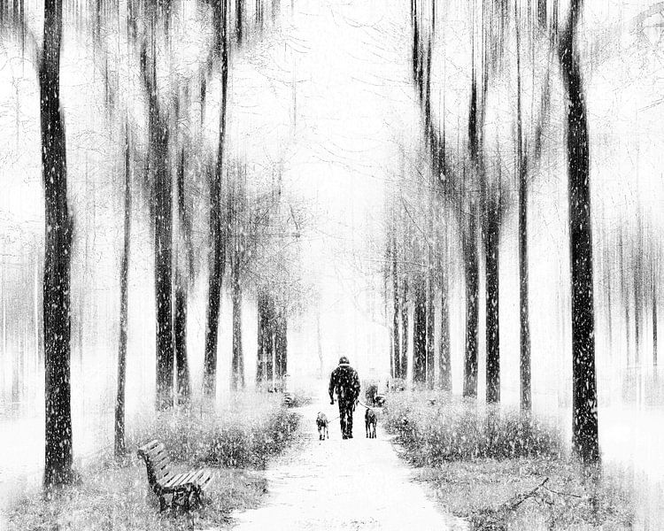 Spaziergang mit Hunden im Schnee von Frank Andree