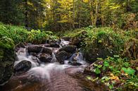 Herfst in het Harz gebergte van Steffen Gierok thumbnail