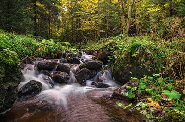 Herfst in het Harz gebergte