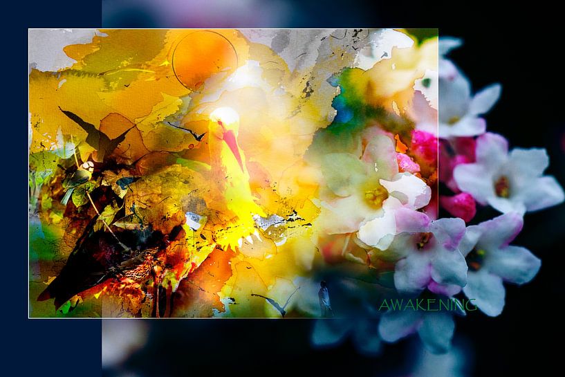 AWAKENING von Ted van den Aarssen
