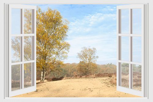 Uitzicht op een zandverstuiving in de herfst vanuit een raam