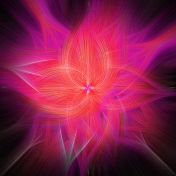 Flower of light. Abstract geometric colorful art in red and magenta by Dina Dankers