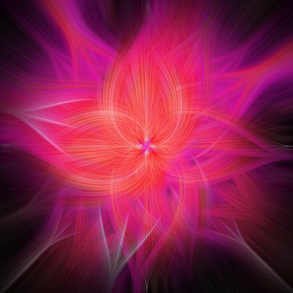 Blume des Lichts. Abstrakte geometrische bunte Kunst in Rot und Magenta von Dina Dankers