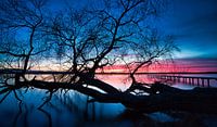 Starnberger See von Einhorn Fotografie Miniaturansicht