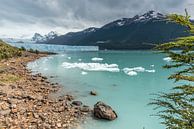 Gletsjer Perito Moreno Argentinie van Trudy van der Werf thumbnail