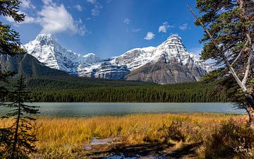 Rocky Mountains in Canada van Adelheid Smitt