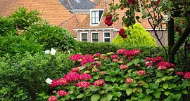 Hjir bin ik, wêr bisto by Koos van Woudenberg