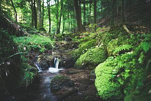 Petite cascade