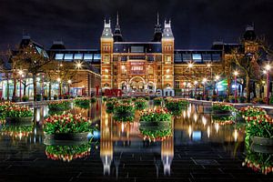 Des tulipes pour le Rijksmuseum d'Amsterdam sur Thea.Photo