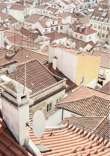 Terracotta Rooftops