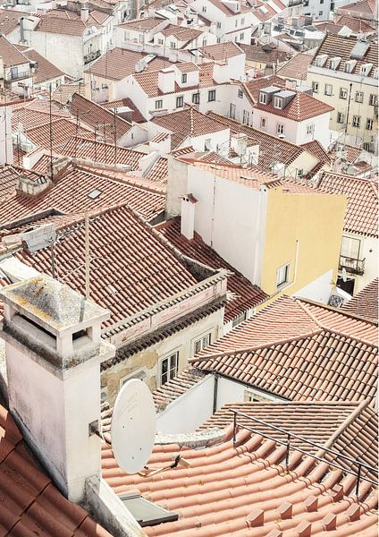 Terracotta Rooftops by Shot by Clint