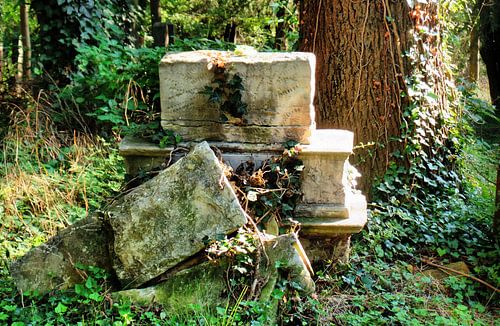 Zentralfriedhof 3