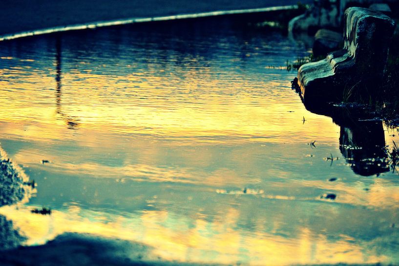 water / eau par melissa demeunier