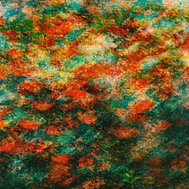 Picturesque poppies by Yanuschka | Fotografie Noordwijk