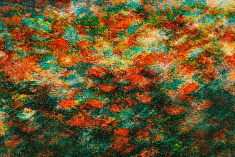 Pittoreske Mohnblumen von Yanuschka | Fotografie Noordwijk