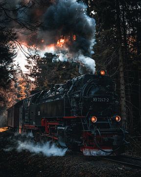 Railway by Arnold Maisner