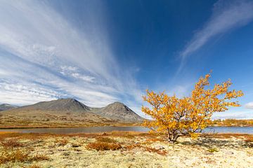 Doralen herfst van Sven-Erik Arndt