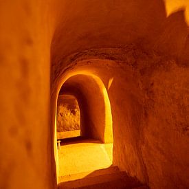 Ins Licht von Arnold van West