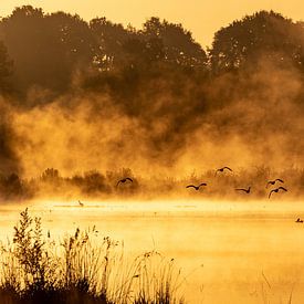 A new beginning by Greet Thijs