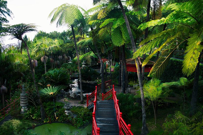 Botanischer Garten in Funchal von jonathan Le Blanc