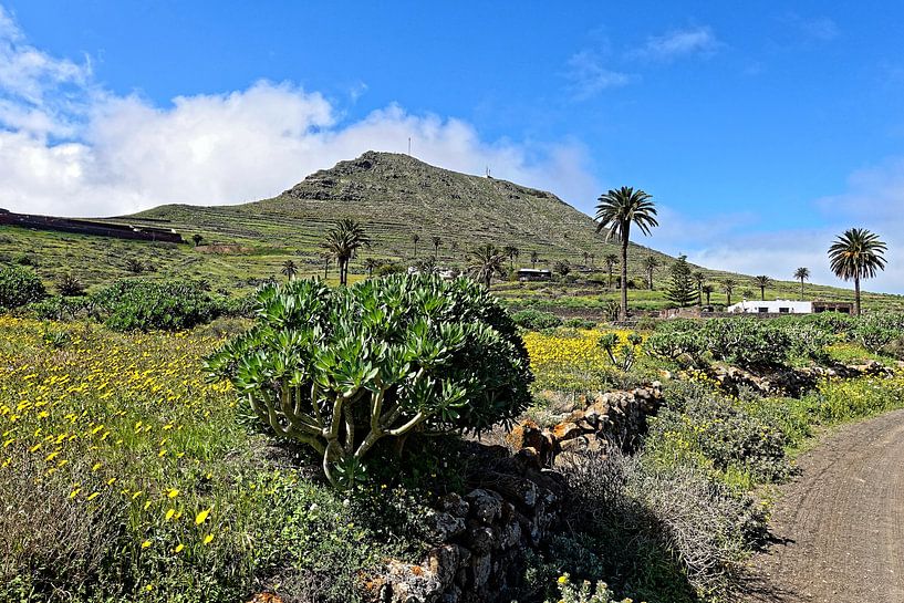 Valle del Rincon (Lanzarote) von Peter Balan