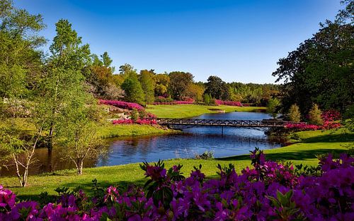 Un paysage magnifique
