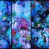 Triptychon mit abstrakten Blumen . von Saskia Dingemans Awarded Photographer