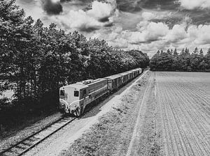 Oude diesel goederentrein op het platteland van Sjoerd van der Wal Fotografie