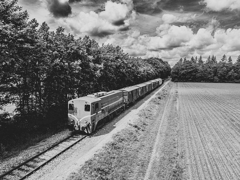 Oude diesel goederentrein op het platteland van Sjoerd van der Wal Fotografie