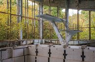 Het zwembad van Pripyat. von Tim Vlielander Miniaturansicht