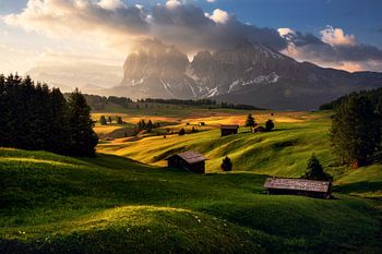 Un matin de printemps doré sur l'Alpe di Siusi