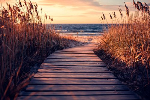 Houten pad naar de zee