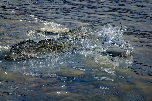 Hooker Valley Track, Mt Cook, Nieuw Zeeland