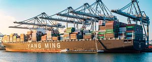Frachtcontainerschiff an einem Containerterminal im Rotterdamer Hafen