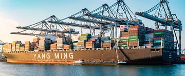 Container schip bij een containerterminal in de Rotterdamse haven van Sjoerd van der Wal Fotografie