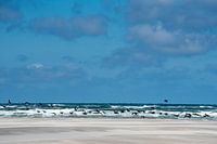Vliegen over het water