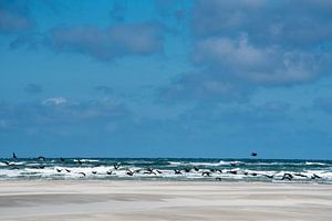 Vliegen over het water