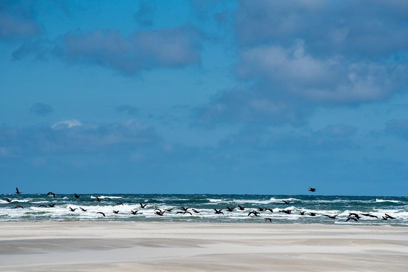Vliegen over het water van Meint Brookman