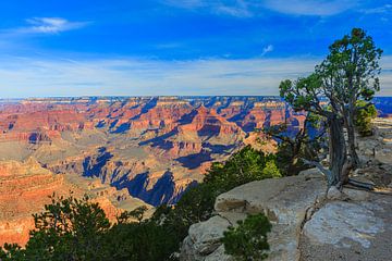 Lever de soleil au parc national du Grand Canyon
