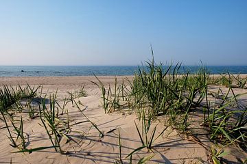 In de ochtend van Ostsee Bilder