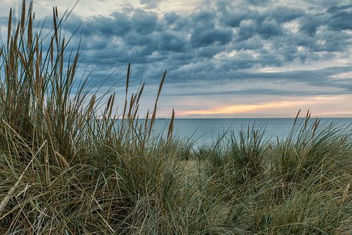 In de duinen van Bredene aan Zee met zonsdondergang