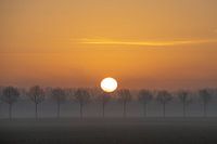 Zonsopkomst, Nieuwe Dordtse Biesbosch