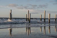 Reflectie van de palen