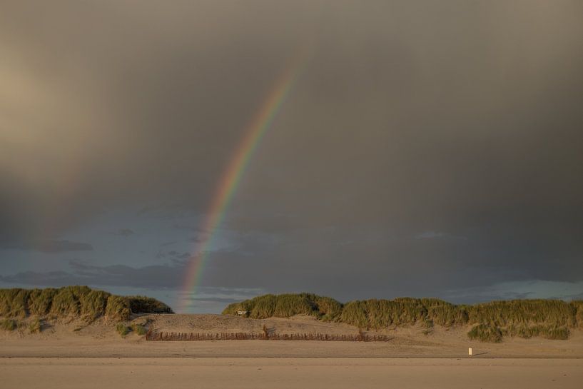 Regenbogendünen Ameland von Nicole Nagtegaal