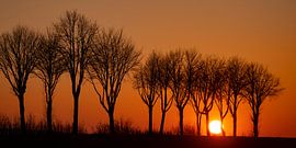 Sonnenuntergang bei Wollbrandshausen