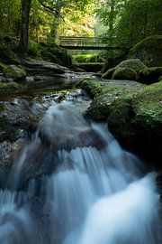 Der Grobbach bei Geroldsau- Baden-Baden von André Post