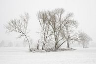 Bäume und Feldgehölz im Winter im Schnee van wunderbare Erde thumbnail